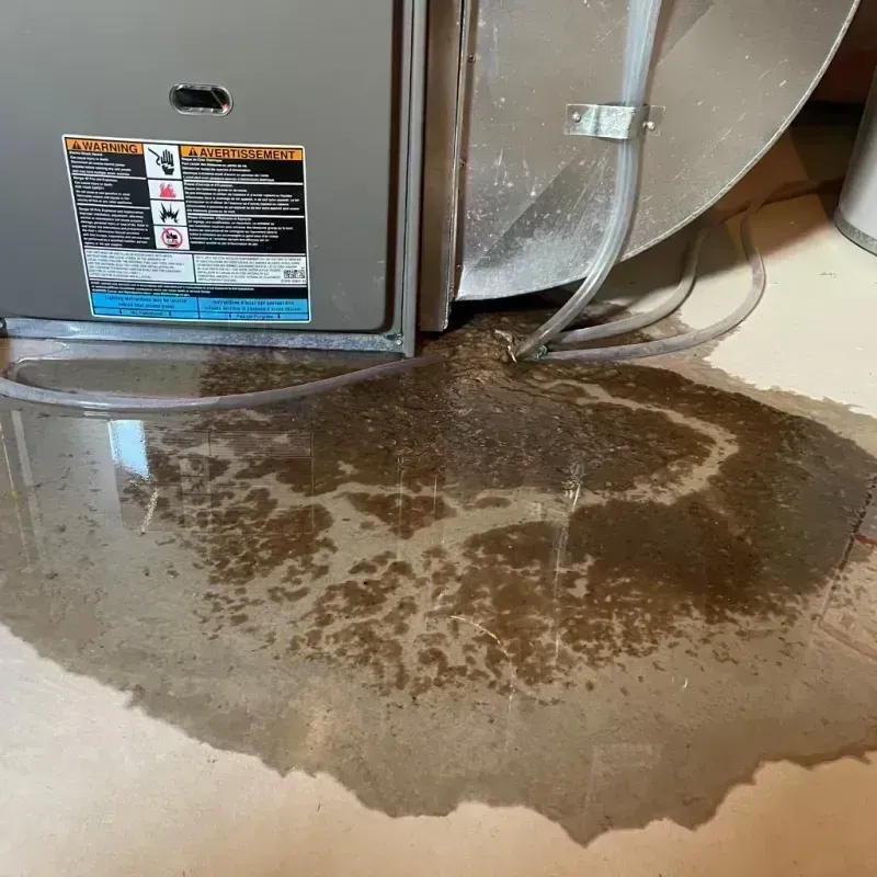 Appliance Leak Cleanup in Venice, IL